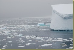 Iceberg with pack ice