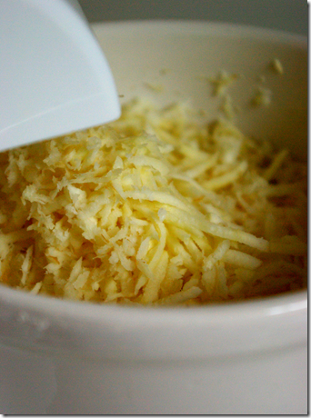 shredded parsnip fin