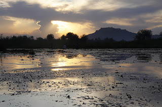 Srinagar Photos