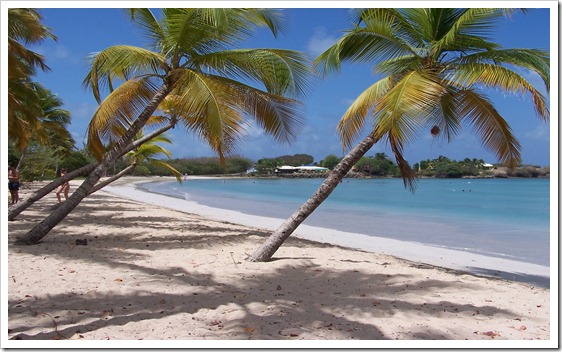 Martinique_Beach_(Salines)