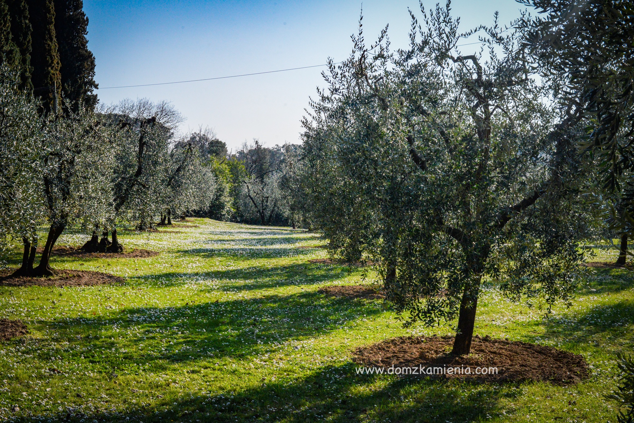 Dom z Kamienia Eremo di Lecceto, Lastra a Signa