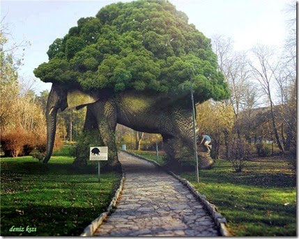TreeswitMA29079731-0006