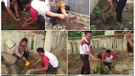Ribuan Batang Pohon Ditanam di Sekitar Area Kantor dan di Pinggir Sungai, Polres Mesuji Lampung