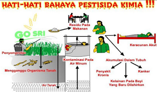 TEKNIK PENGGUNAAN PESTISIDA KIMIA SECARA TEPAT