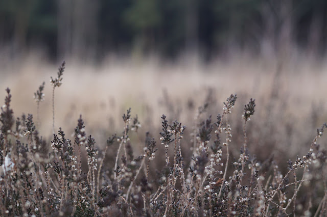 Norfolk countryside landscape photographs 2015