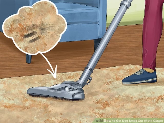 Take Out Spots And Odors Simply And Get Your Carpet Cleaner