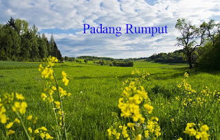 Pengertian Padang Rumput dan Hewan Tumbuhan yang hidup 