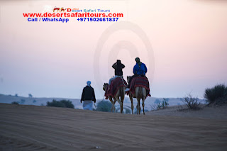 sunrise-desert-safari-and-camel-riding