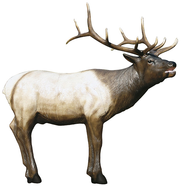 3d Elk Target