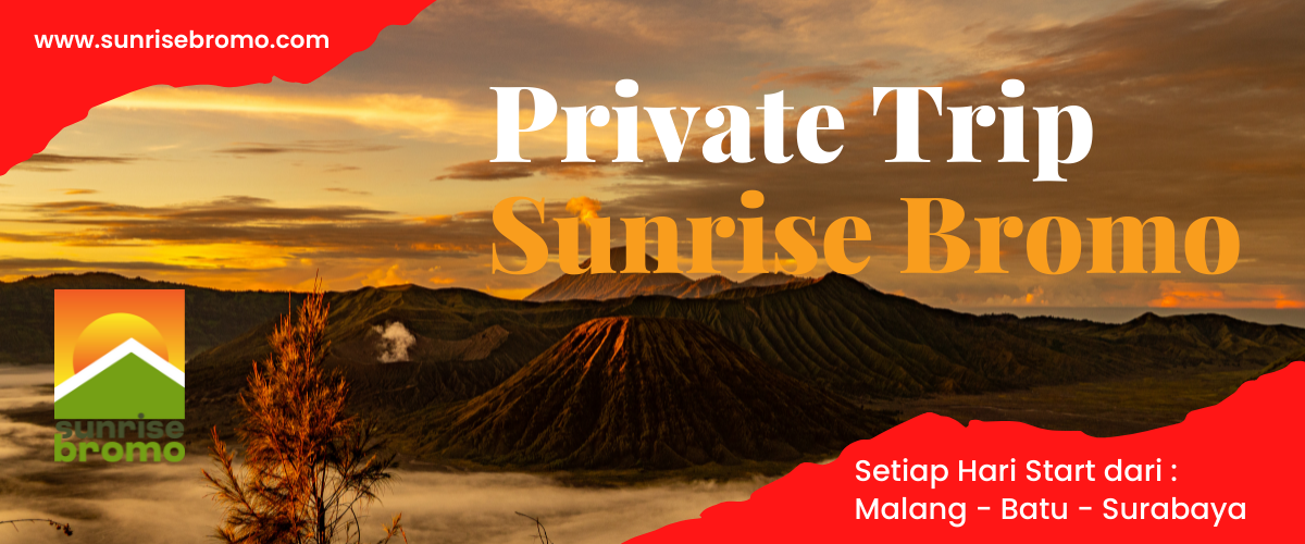 paket wisata private trip bromo setiap hari dari malng, batu dan surabaya