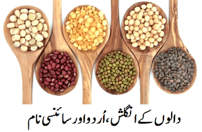 Pulses name in Urdu and English دالوں کے نام