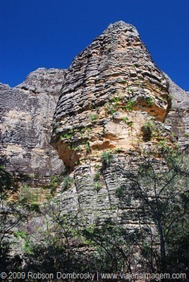 DSC_7066_thumb_thumb[1]