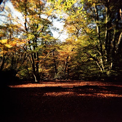 Anyway; back to Epping Forest: This second photo is one of the few that 