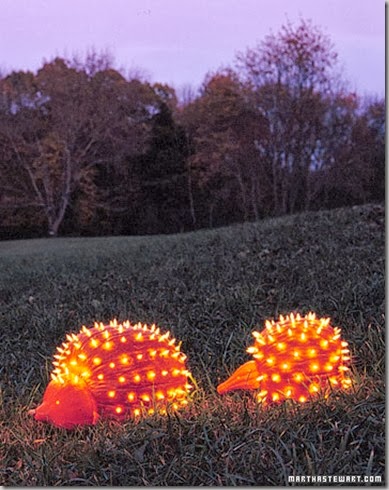 porecupine pumpkin