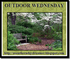 Outdoor_Wednesday_logo_thumb[2]