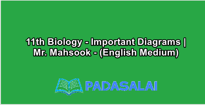 11th Biology - Important Diagrams | Mr. Mahsook - (English Medium)