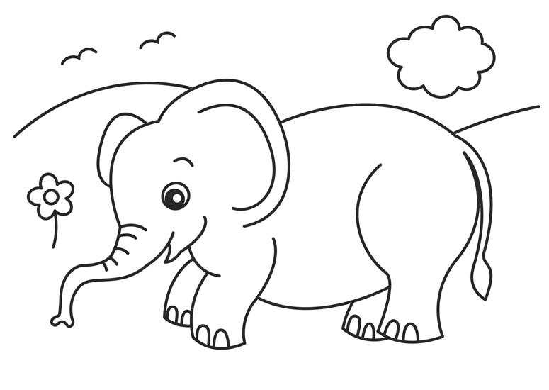 Download Baby Elephant Coloring Pages Animal