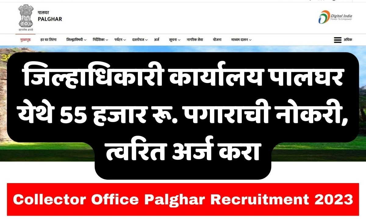 Collector Office Palghar Recruitment 2023