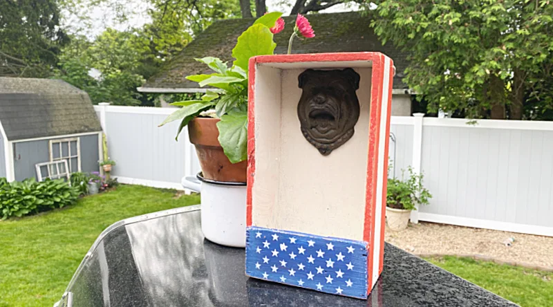 bottle opener and plant in yard