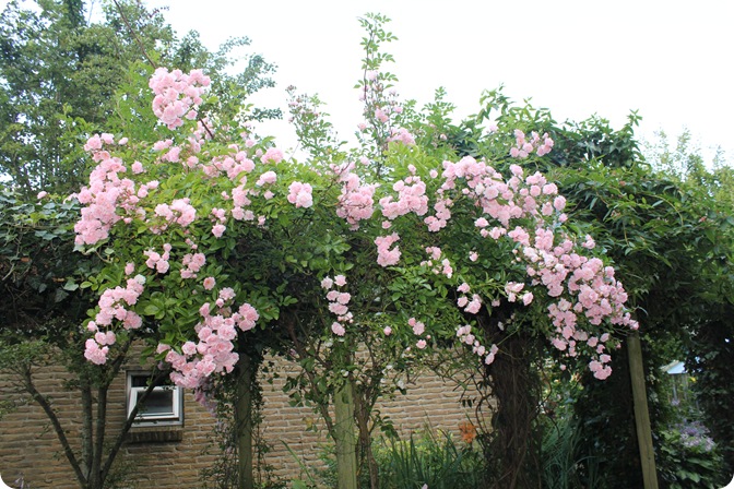 2010-07-23 012