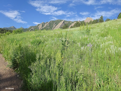 the Flatirons, Boulder, CO