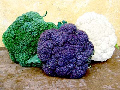 Colored Cauliflower