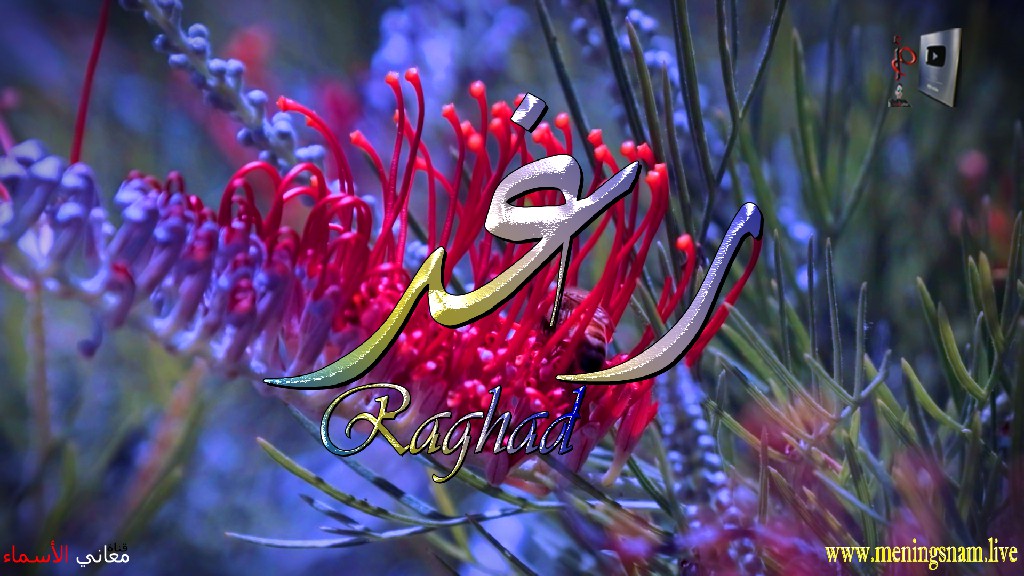 معنى اسم, رغد, وصفات, حاملة, هذا الاسم, Raghad,