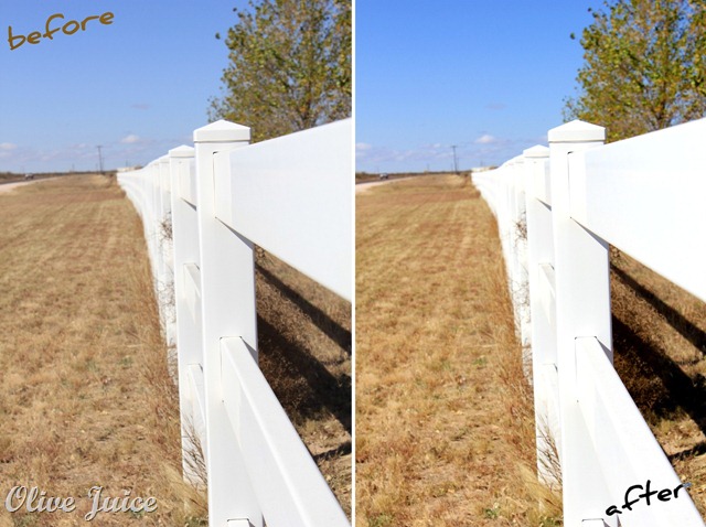 FenceBeforeAfter