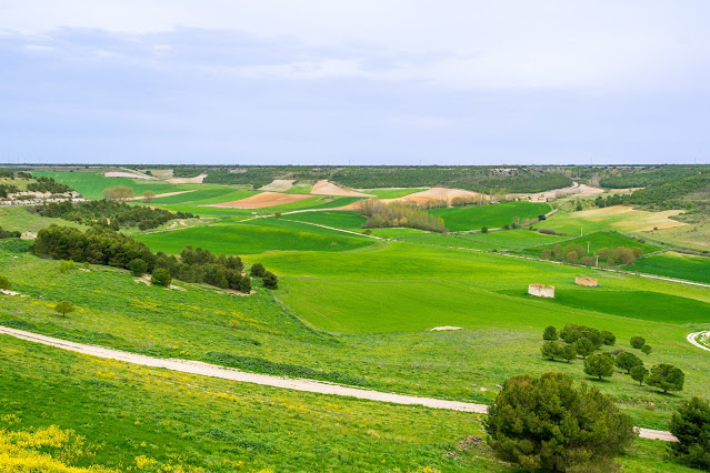 Valle de La Ermita con los palomares en Urueña