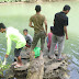 Mancing