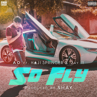 download MP3 AO – So Fly (feat. Haji Springer & Jay R) – Single itunes plus aac m4a mp3