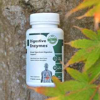 Unveiling the Secrets of Digestive Enzymes