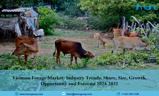 Vietnam Forage Market Size and Report 2024-2032