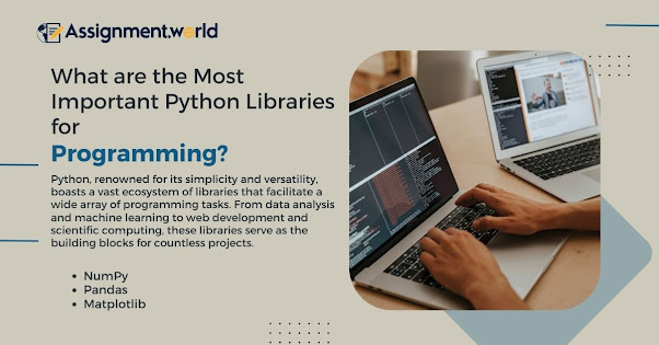 What are the Most Important Python Libraries for Programming?