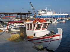 IMG_1294