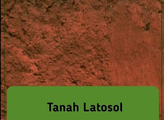 gambar tanah latosol