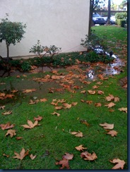 floods at our apartments