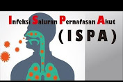 WALHI : Puluhan Warga Kota Padang Terjangkit Penyakit ISPA