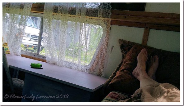 05-24-view-from-bed