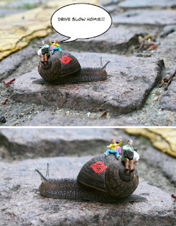 Snails picture