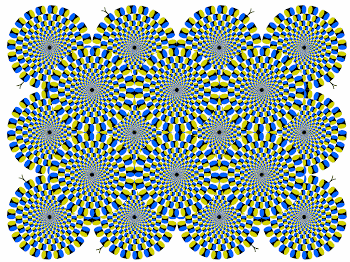 imagenes en movimiento