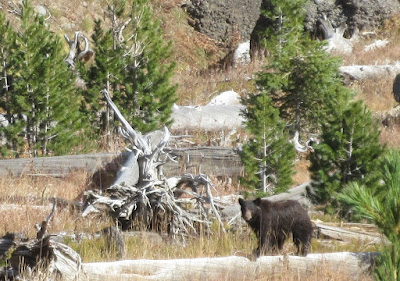 Bliss Pass, Yellowstone