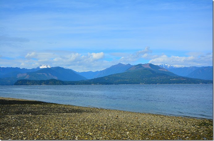 Scenic View