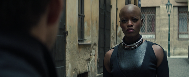 Dora Milaje Member in Latvia The Falcon and The Winter Soldier Marvel Disney Plus