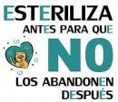 ESTERILIZA