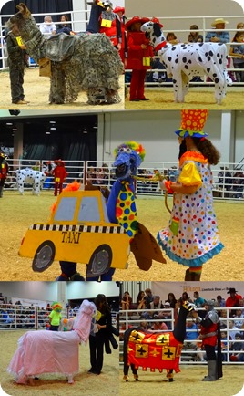 Houston Livestock show1