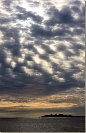 IMG_9509