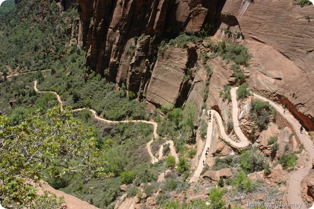 ZionNP 029