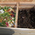 Making compost, Gardening Tips