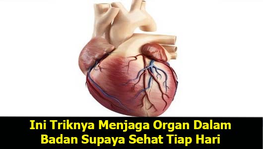 Ini Triknya Menjaga Organ Dalam Badan Supaya Sehat Tiap Hari